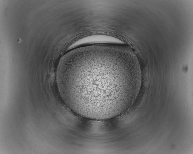 X0000089380085200706221304