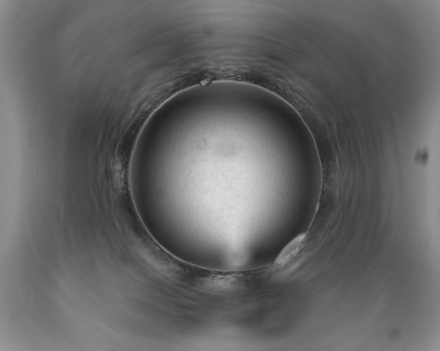 X0000089380086200706221304