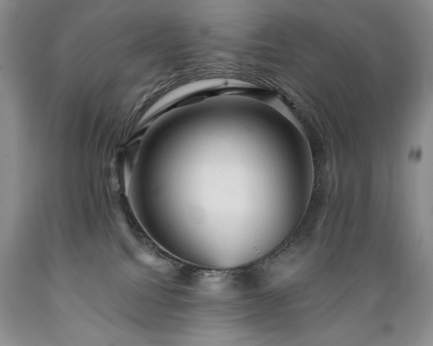 X0000089380088200706221304
