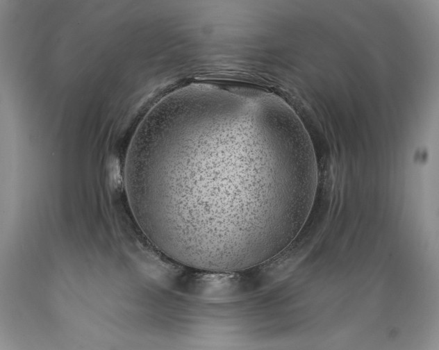 X0000089380089200706221304