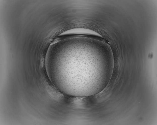 X0000089380090200706221304
