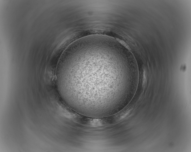 X0000089380091200706221304