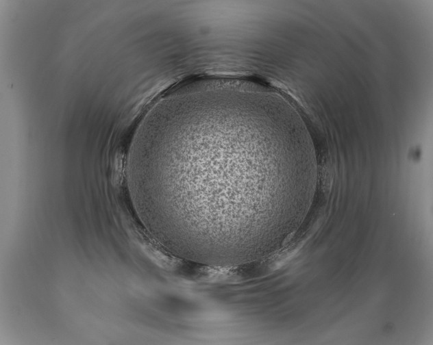 X0000089380093200706221304