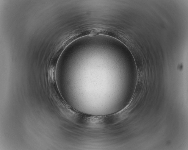 X0000089380094200706221304