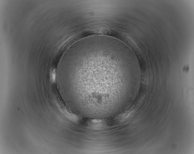 X0000089380095200706221304