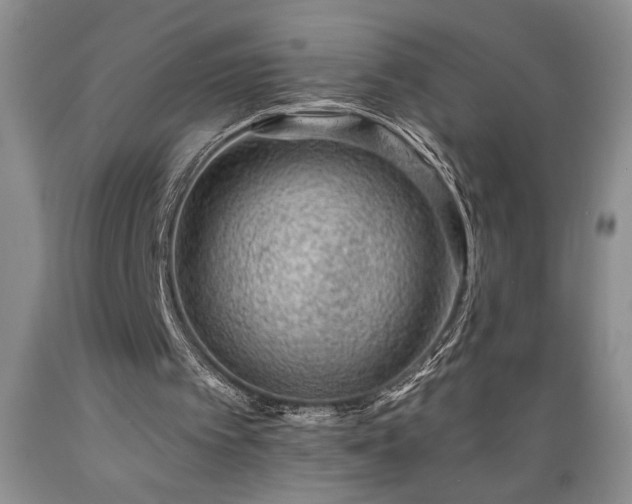 X0000089380097200706221304