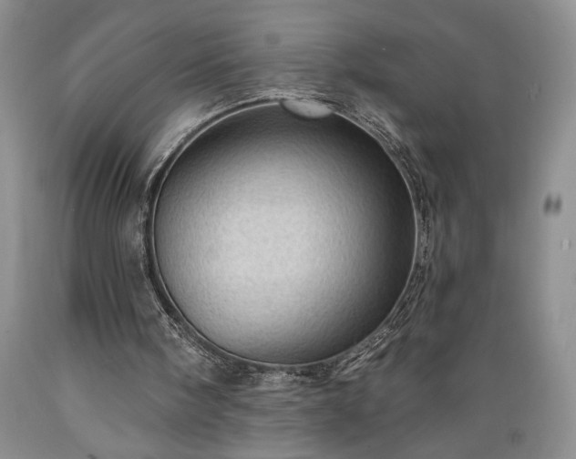 X0000089380098200706221304