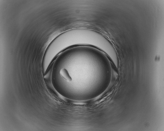 X0000089380099200706221304