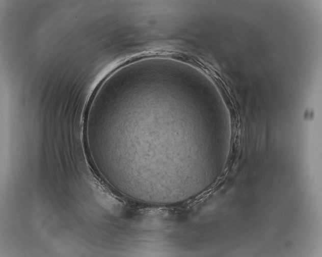 X0000089380100200706221304