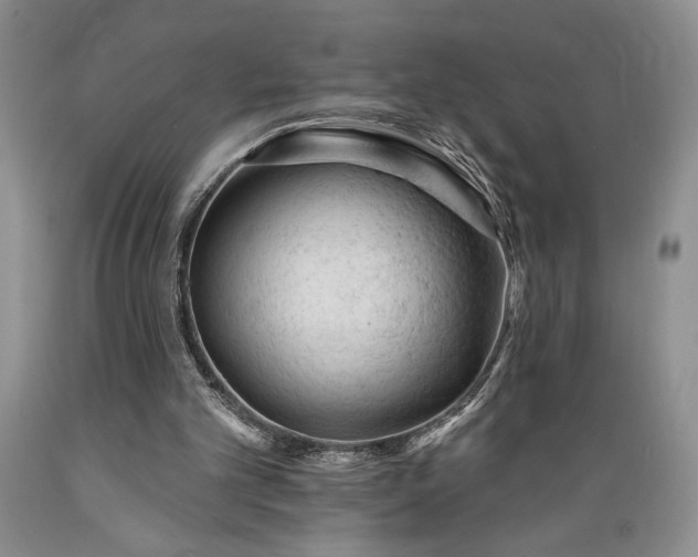 X0000089380101200706221304