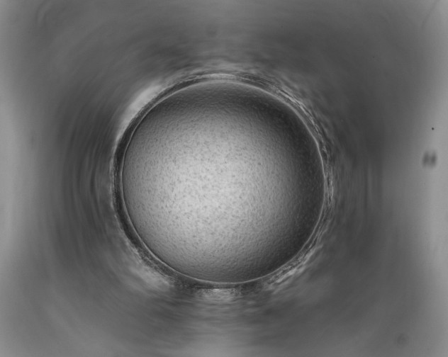 X0000089380102200706221304