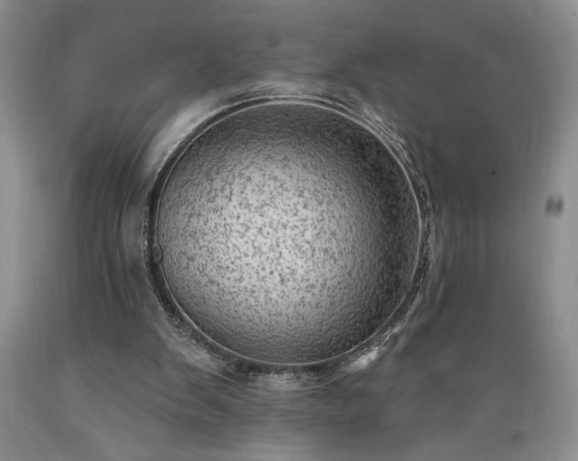 X0000089380103200706221304