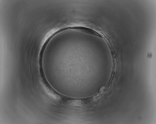 X0000089380104200706221304