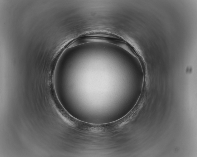 X0000089380105200706221304