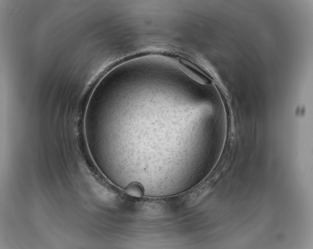 X0000089380106200706221304