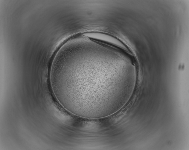 X0000089380107200706221304