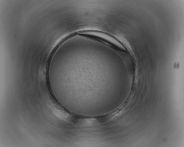 X0000089380108200706221303