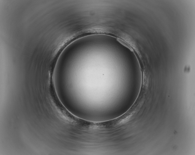 X0000089380109200706221303
