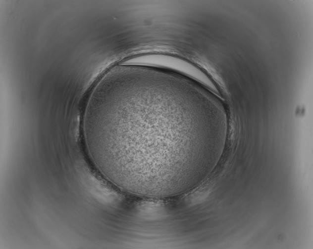 X0000089380110200706221303