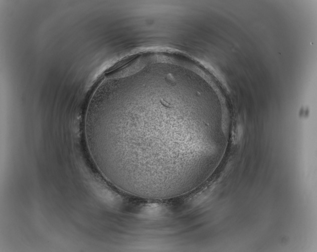 X0000089380111200706221303