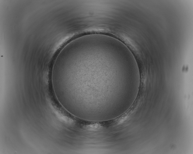 X0000089380112200706221303