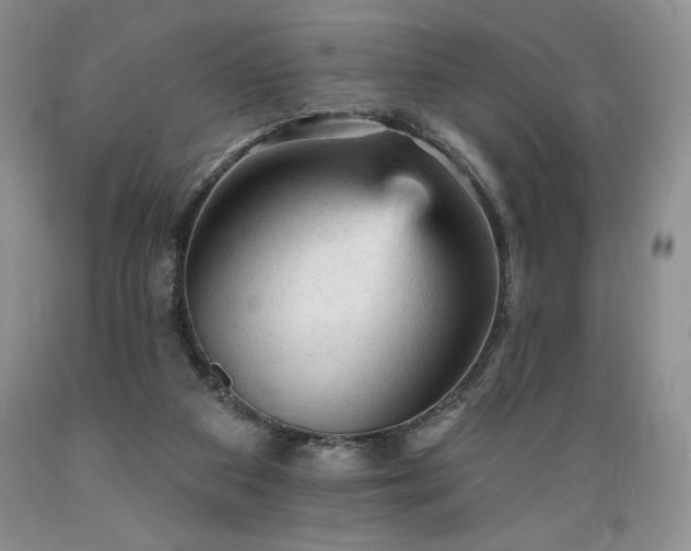 X0000089380113200706221303