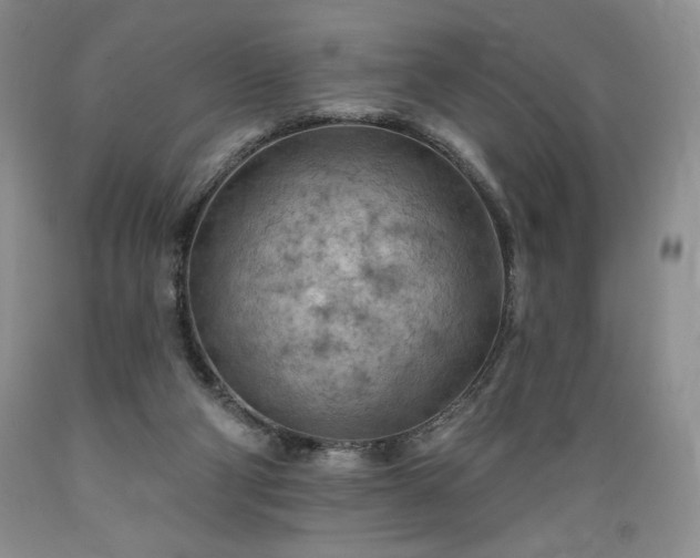 X0000089380114200706221303