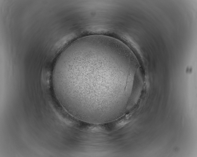 X0000089380115200706221303