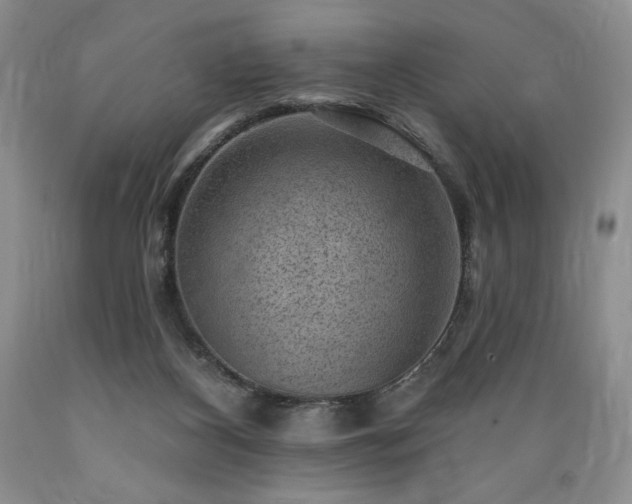 X0000089380116200706221303