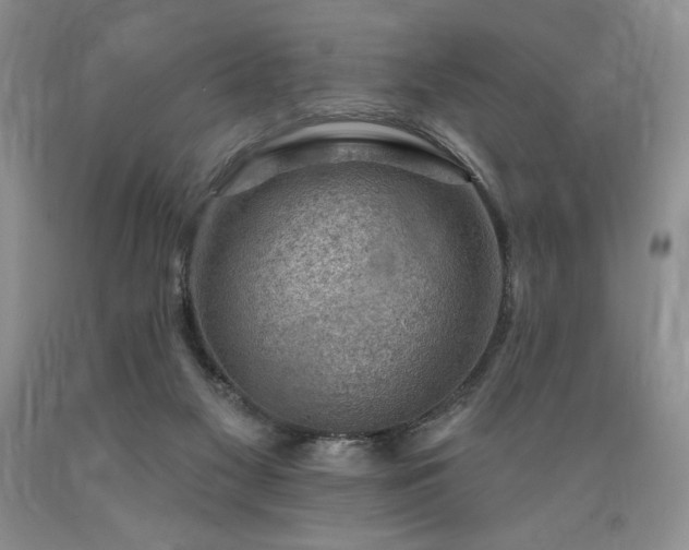 X0000089380117200706221303
