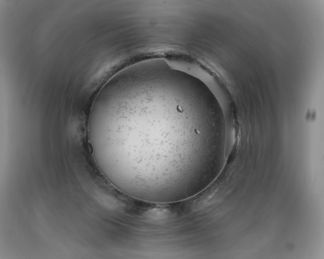 X0000089380119200706221303