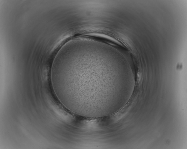 X0000089380120200706221303