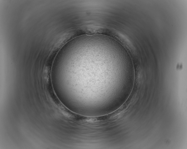 X0000089380121200706221303