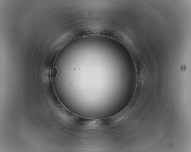 X0000089380122200706221303
