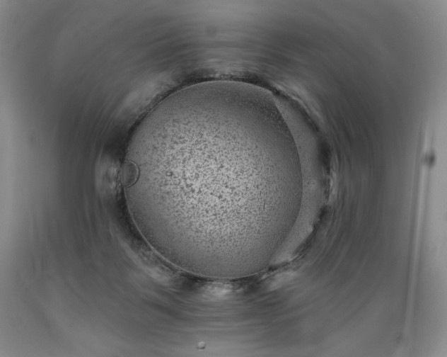 X0000089380123200706221303