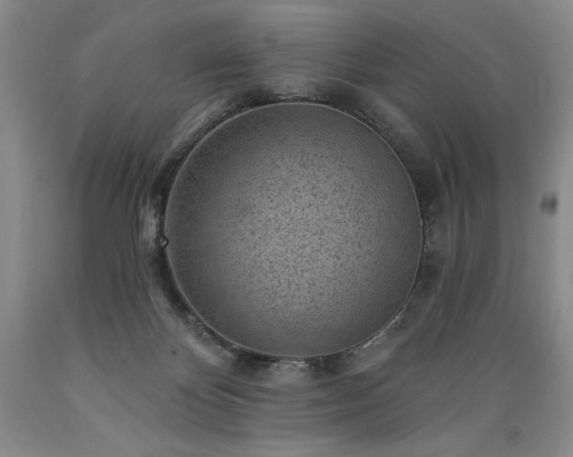 X0000089380124200706221303