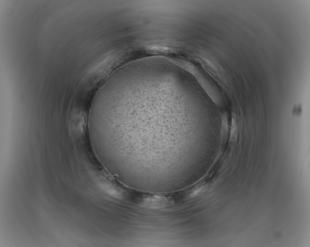 X0000089380125200706221303
