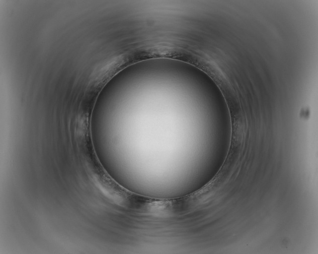 X0000089380126200706221303