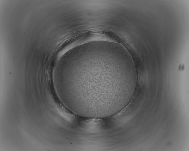 X0000089380128200706221303