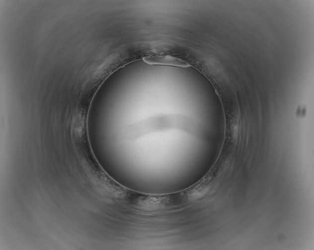 X0000089380129200706221303