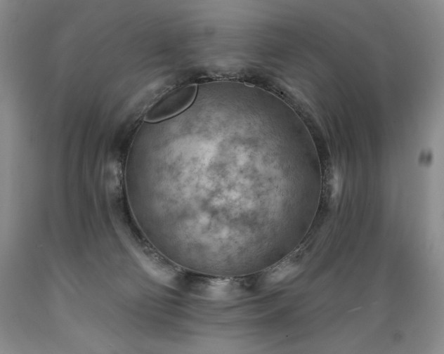 X0000089380130200706221303