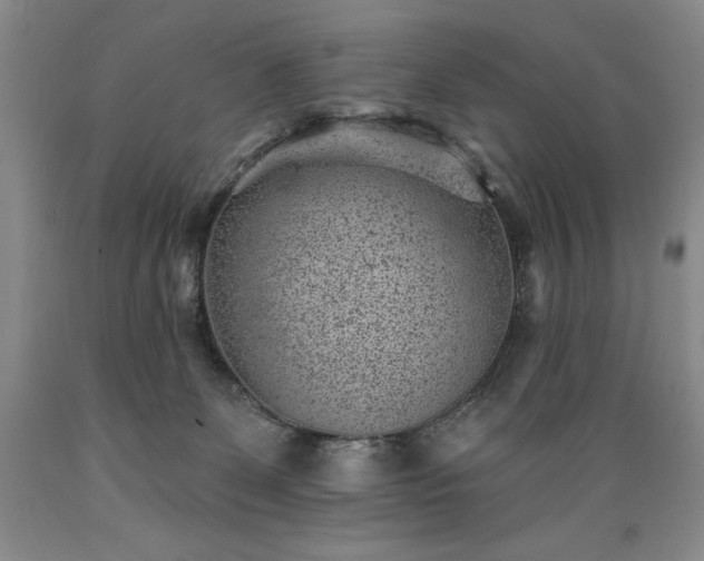 X0000089380131200706221303