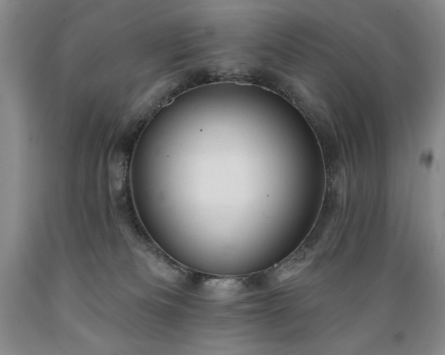 X0000089380133200706221303