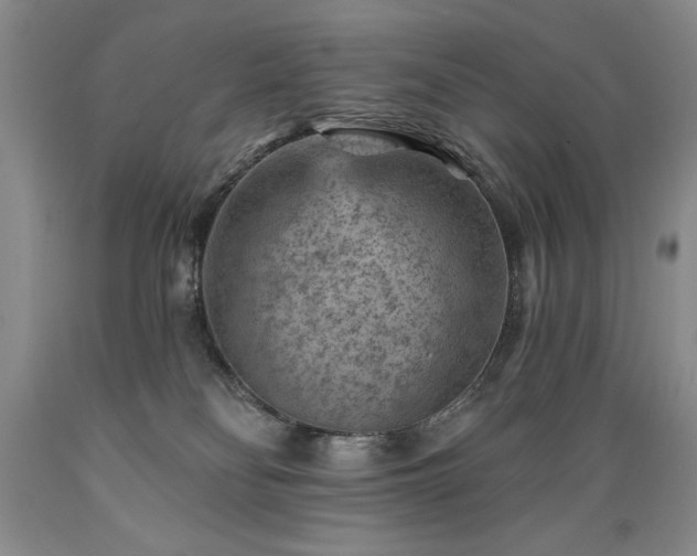 X0000089380134200706221303