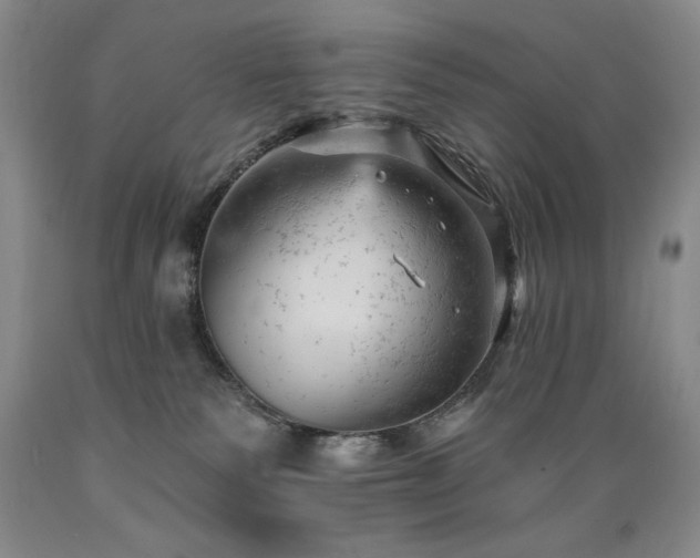 X0000089380135200706221303