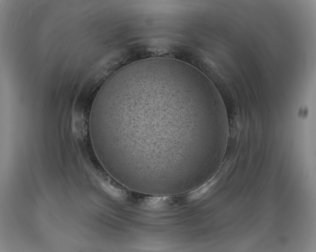 X0000089380136200706221303