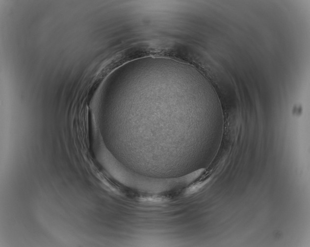 X0000089380137200706221303