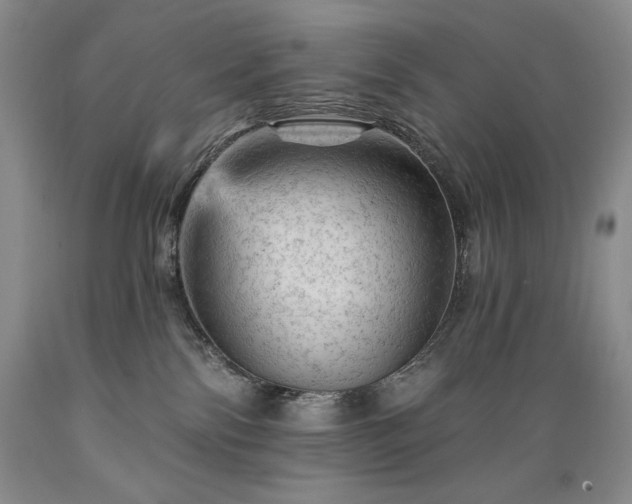 X0000089380138200706221303