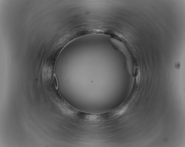 X0000089380139200706221303