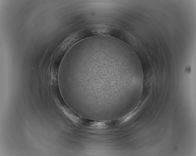 X0000089380140200706221303